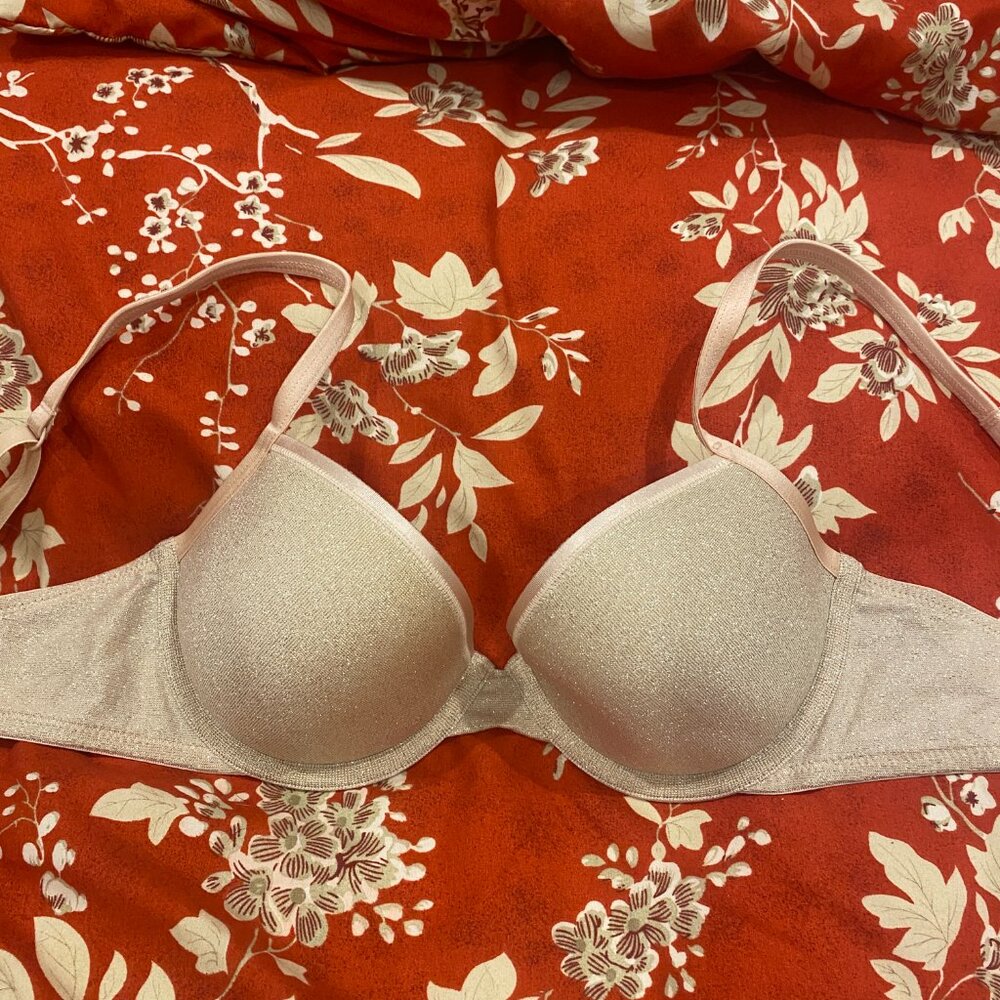 Classic La Senza Lightly Lined “Invisible” Bra – Sparkle Champagne Blush - 32C